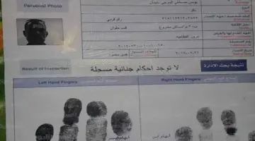 بالخطوات.. استخراج فيش وتشبيه مستعجل إلكترونيًا 2026 وسعر الخدمة